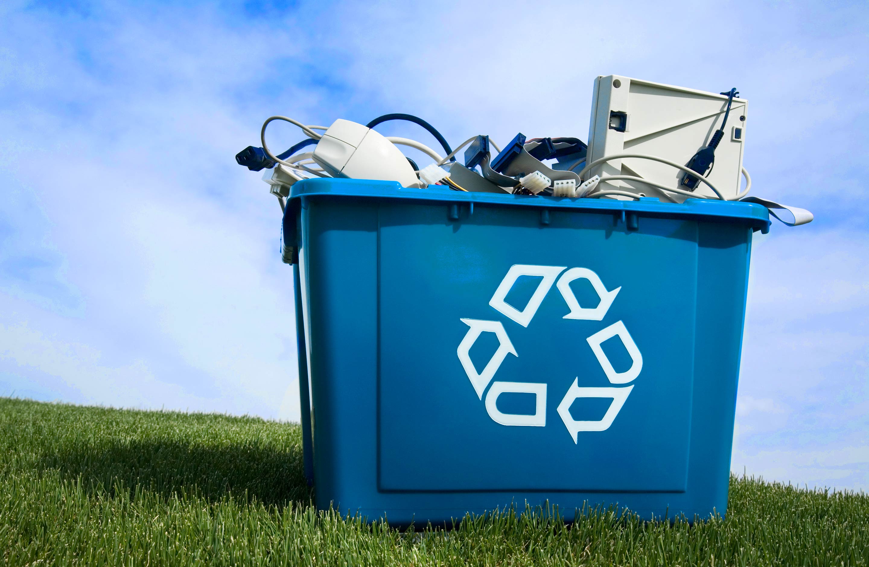 JDU Consulting Sustainable IT report