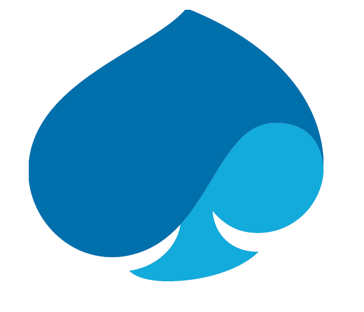 Capgemini