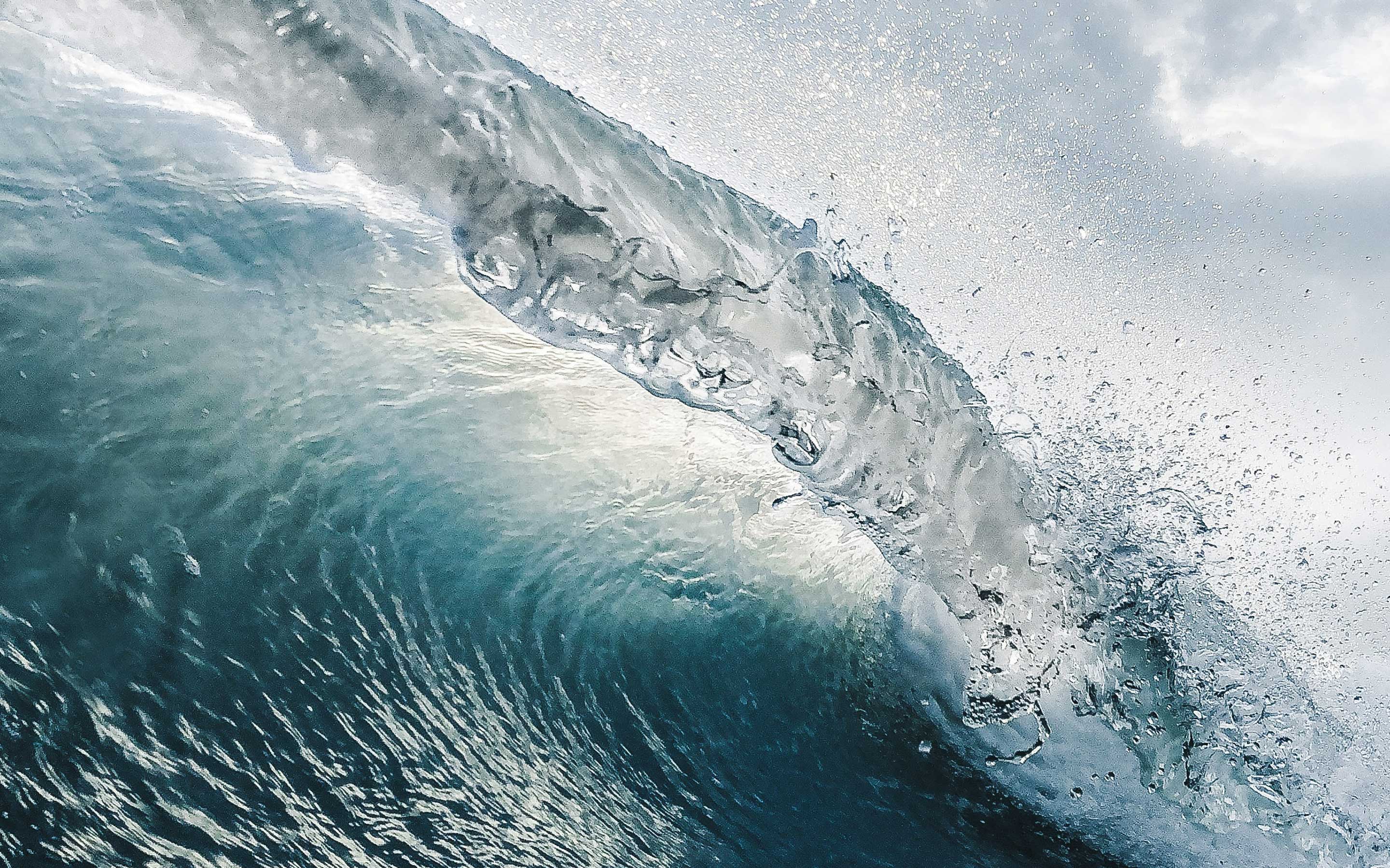 Capgemini_Data-and-Insights_wave2