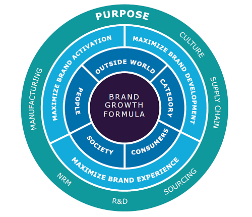 consumer brand experience
